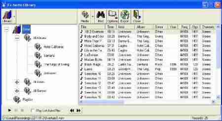 Audio Format Converter