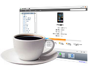 iPod transfer, Transfer iPod files